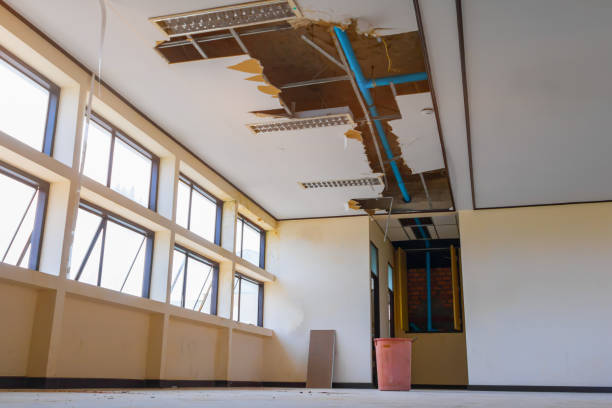 Best Sewage cleanup and water damage restoration  in Fort Meade, MD