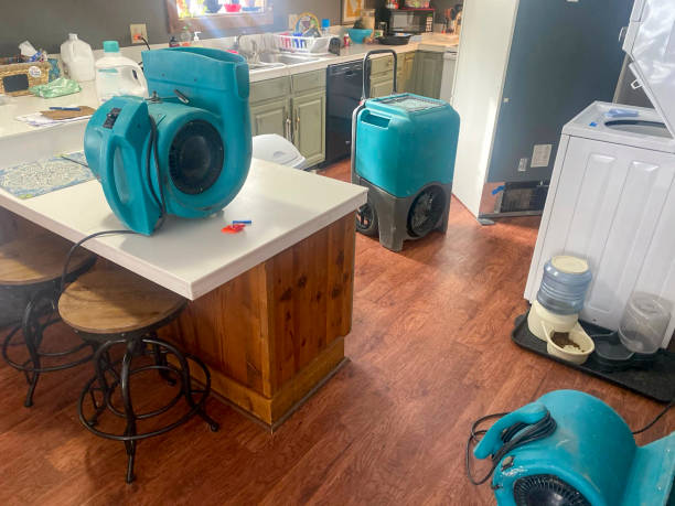 Best Local water damage restoration  in Fort Meade, MD