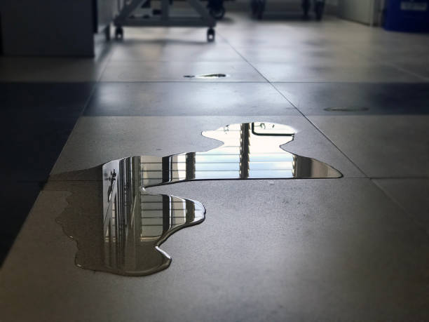 Best Carpet water damage restoration  in Fort Meade, MD