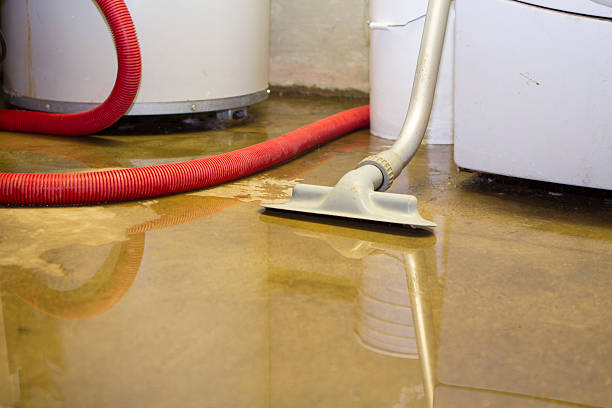Best Sewage cleanup and water damage restoration  in Fort Meade, MD
