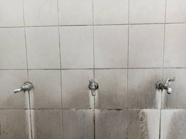 Best Water damage cleanup near me  in Fort Meade, MD
