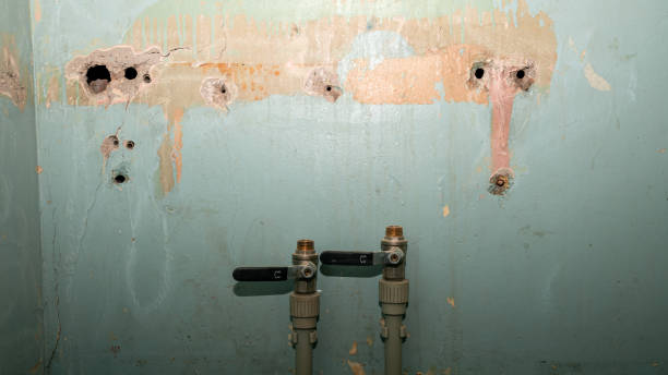 Best Water damage mitigation services  in Fort Meade, MD