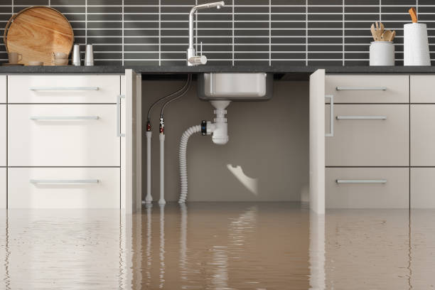 Professional Water damage restoration in MD