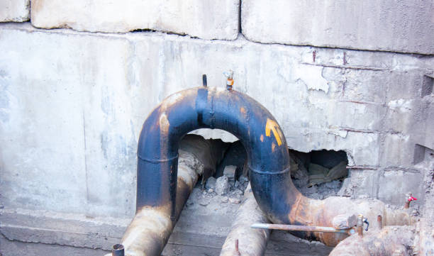 Best Professional water damage repair  in Fort Meade, MD